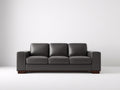Sofá de 3 plazas tapizado en cuero 210x94x85 cm - Gris oscuro y madera oscura - Brazos rectos con cojines independientes